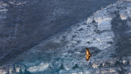 Similar image 21045995