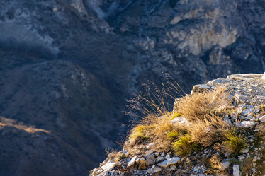 Similar image 21045996