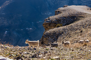 Similar image 21046002