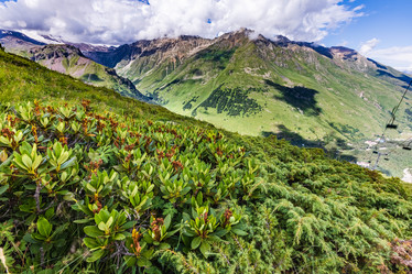 Similar image 21025506