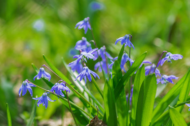 Similar image 21055393