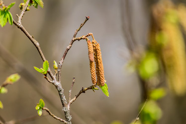 Similar image 21055394