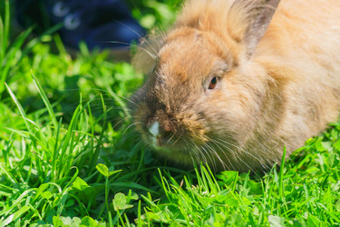 Similar image 21060951