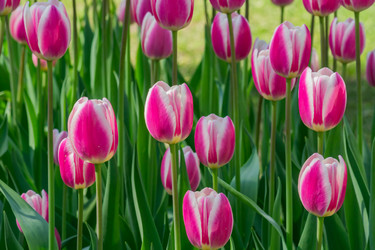 Similar image 21077223