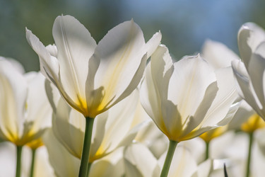 Similar image 21077241