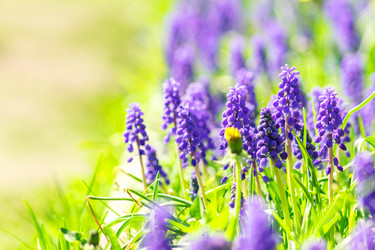 Similar image 21077281