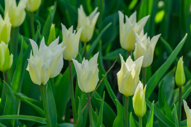 Similar image 21077285