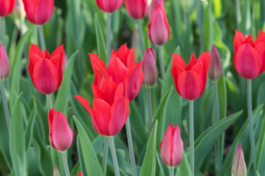 Similar image 21077286