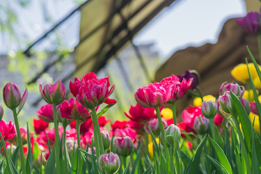 Similar image 21077289