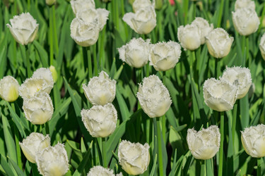 Similar image 21077291