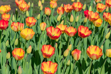 Similar image 21077292