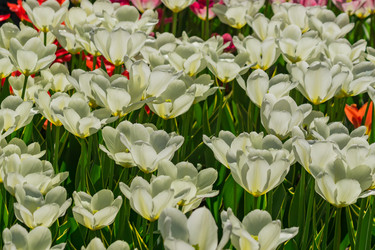 Similar image 21077293