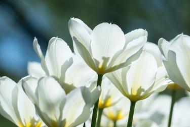 Similar image 21078189