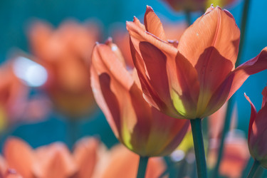 Similar image 21078190