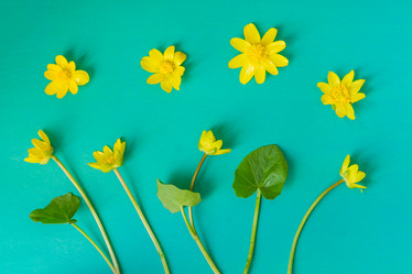 Similar image 21078403