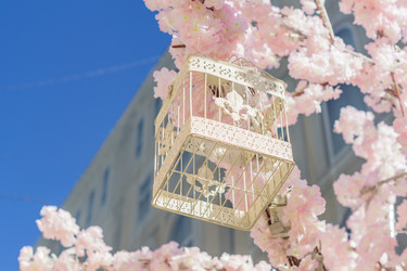 Similar image 21078407