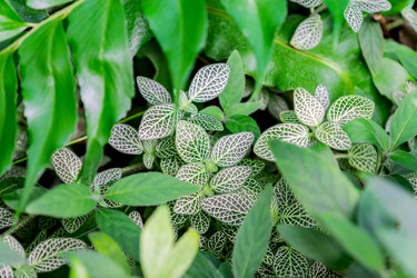 Similar image 21078413