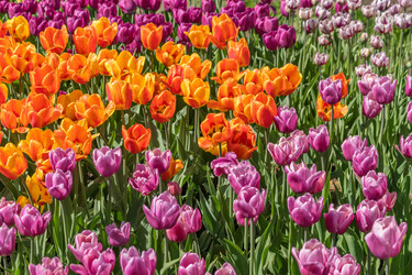 Similar image 21035584