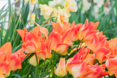 Similar image 21053521