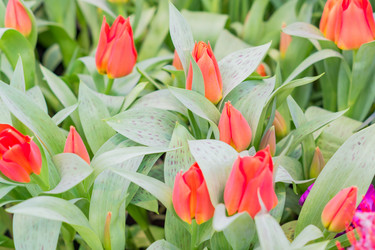 Similar image 21053522