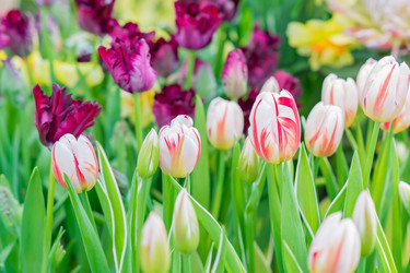 Similar image 21055395