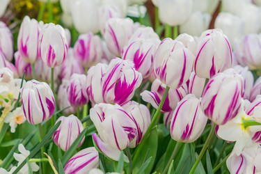 Similar image 21055396