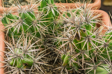 Similar image 21055398