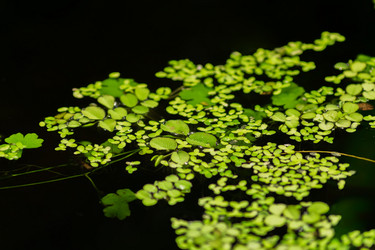 Similar image 21055400