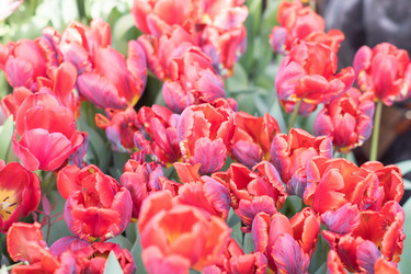 Similar image 21055404