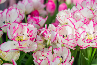 Similar image 21055405