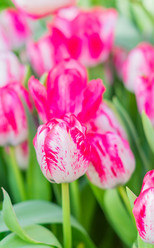 Similar image 21055409