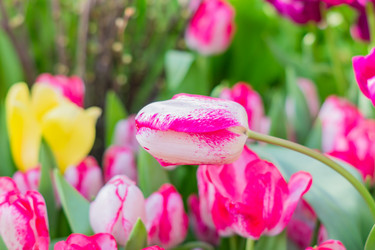 Similar image 21060954