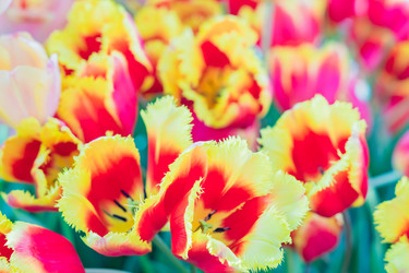 Similar image 21060955