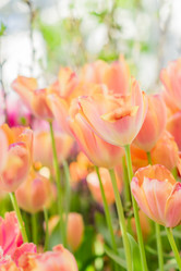 Similar image 21060957