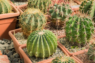 Similar image 21060962