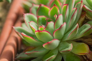 Similar image 21060963