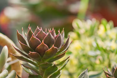 Similar image 21060964