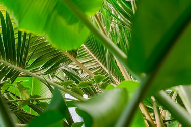 Similar image 21060965