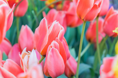 Similar image 21067163