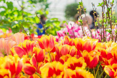 Similar image 21067165