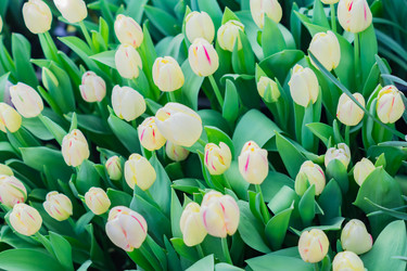 Similar image 21067167