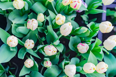 Similar image 21067169