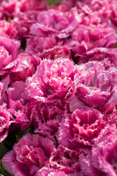 Similar image 21067193