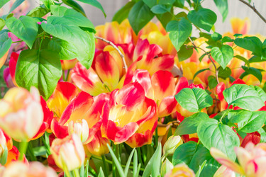 Similar image 21073298