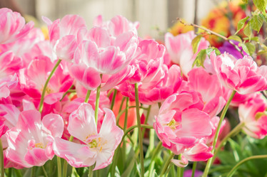 Similar image 21073299