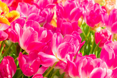 Similar image 21073300