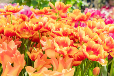 Similar image 21073301