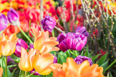 Similar image 21073302