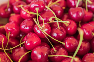 Similar image 21073306