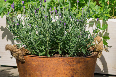 Similar image 21077225